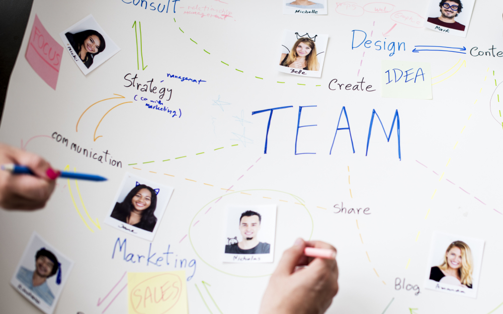 Maketing & Sales Department Structuring