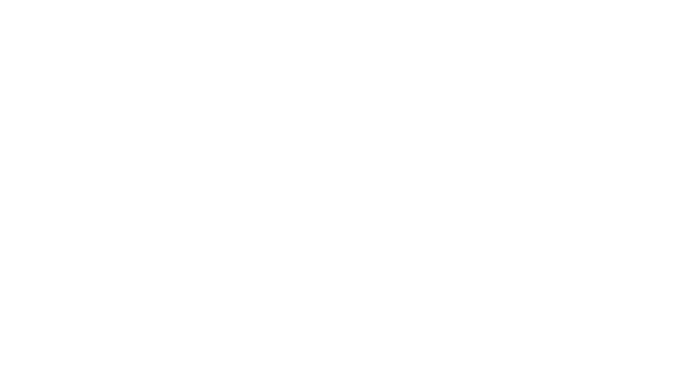 nahle-group-white-logo